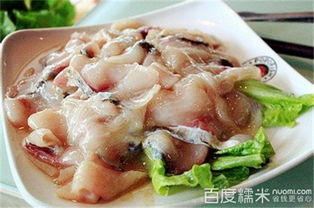 魔石泡泡魚 以特色餐飲撬動(dòng)加盟市場(chǎng)，打造品質(zhì)餐飲新標(biāo)桿